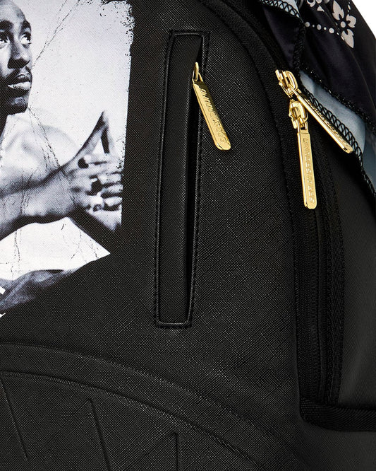SPRAYGROUND