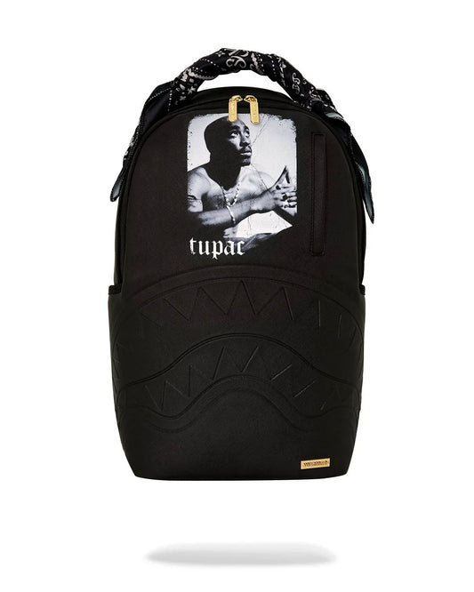 SPRAYGROUND